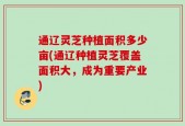 通辽灵芝种植面积多少亩(通辽种植灵芝覆盖面积大，成为重要产业)