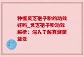 种植灵芝孢子粉的功效好吗_灵芝孢子粉功效解析：深入了解其健康益处