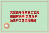 灵芝孢子油萃取工艺流程图解说明(灵芝孢子油生产工艺流程图解