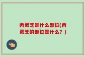 肉灵芝是什么部位(肉灵芝的部位是什么？)