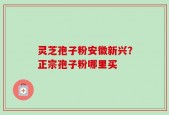 灵芝孢子粉安徽新兴？正宗孢子粉哪里买