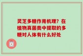 灵芝多糖作用机理？在植物真菌类中提取的多糖对人体有什么好处