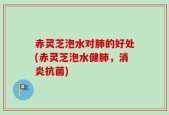 赤灵芝泡水对肺的好处(赤灵芝泡水健肺，消炎抗菌)