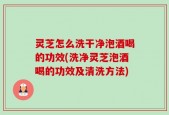 灵芝怎么洗干净泡酒喝的功效(洗净灵芝泡酒喝的功效及清洗方法)