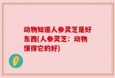 动物知道人参灵芝是好东西(人参灵芝：动物懂得它的好)