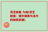 灵芝胶囊 力魂(灵芝胶囊：提升健康与活力的秘密武器)