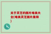 关于灵芝的图片唯美大全(唯美灵芝图片集锦)