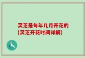 灵芝是每年几月开花的(灵芝开花时间详解)