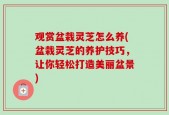 观赏盆栽灵芝怎么养(盆栽灵芝的养护技巧，让你轻松打造美丽盆景)