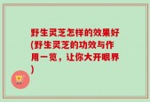 野生灵芝怎样的效果好(野生灵芝的功效与作用一览，让你大开眼界)