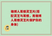 雅搏人葛根灵芝片(搭配灵芝与葛根，用雅搏人葛根灵芝片保护你的身体)