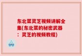 东北菜灵芝视频讲解全集(东北菜的秘密武器：灵芝的视频教程)