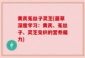 黄芪菟丝子灵芝(菌草深度学习：黄芪、菟丝子、灵芝交织的营养魔力)