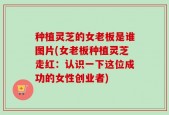 种植灵芝的女老板是谁图片(女老板种植灵芝走红：认识一下这位成功的女性创业者)