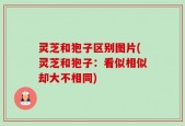 灵芝和狍子区别图片(灵芝和狍子：看似相似却大不相同)