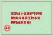 灵芝纹小瓷碗好不好呢视频(探寻灵芝纹小瓷碗的品质奥秘)