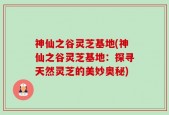 神仙之谷灵芝基地(神仙之谷灵芝基地：探寻天然灵芝的美妙奥秘)