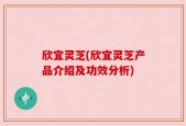 欣宜灵芝(欣宜灵芝产品介绍及功效分析)