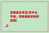 家里面生灵芝(家中太平菇，惊艳美肌的秘密武器)