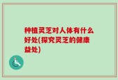 种植灵芝对人体有什么好处(探究灵芝的健康益处)