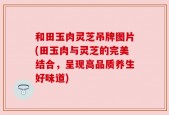 和田玉肉灵芝吊牌图片(田玉肉与灵芝的完美结合，呈现高品质养生好味道)