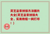 灵芝盆景拼接方法图片大全(灵芝盆景拼接大全，实用教程一网打尽！)