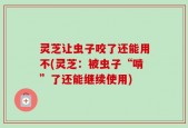 灵芝让虫子咬了还能用不(灵芝：被虫子“啃”了还能继续使用)