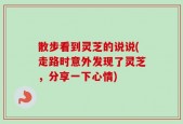 散步看到灵芝的说说(走路时意外发现了灵芝，分享一下心情)