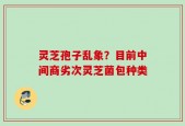 灵芝孢子乱象？目前中间商劣次灵芝菌包种类