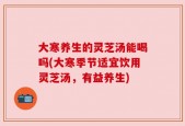 大寒养生的灵芝汤能喝吗(大寒季节适宜饮用灵芝汤，有益养生)