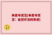 承恩寺灵芝(承恩寺灵芝：自然疗法的奇迹)