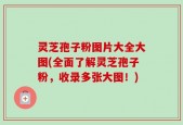 灵芝孢子粉图片大全大图(全面了解灵芝孢子粉，收录多张大图！)