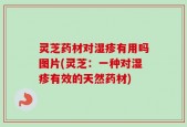 灵芝药材对湿疹有用吗图片(灵芝：一种对湿疹有效的天然药材)