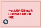 什么品种的灵芝较名贵(名贵的灵芝品种及其特征)