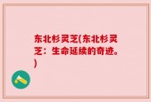 东北杉灵芝(东北杉灵芝：生命延续的奇迹。)