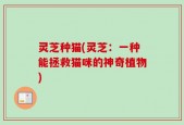 灵芝种猫(灵芝：一种能拯救猫咪的神奇植物)