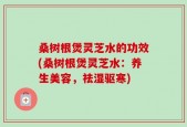 桑树根煲灵芝水的功效(桑树根煲灵芝水：养生美容，祛湿驱寒)
