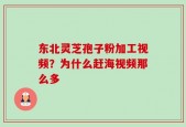 东北灵芝孢子粉加工视频？为什么赶海视频那么多