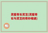 灵璧奇石灵芝(灵璧奇石与灵芝的奇妙相遇)