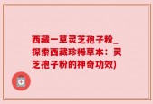 西藏一草灵芝孢子粉_探索西藏珍稀草本：灵芝孢子粉的神奇功效)