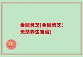 金园灵芝(金园灵芝：天然养生宝藏)