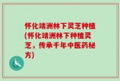 怀化靖洲林下灵芝种植(怀化靖洲林下种植灵芝，传承千年中医药秘方)