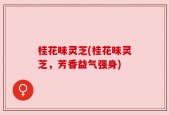 桂花味灵芝(桂花味灵芝，芳香益气强身)