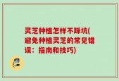 灵芝种植怎样不踩坑(避免种植灵芝的常见错误：指南和技巧)