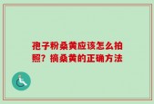 孢子粉桑黄应该怎么拍照？摘桑黄的正确方法