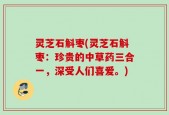 灵芝石斛枣(灵芝石斛枣：珍贵的中草药三合一，深受人们喜爱。)