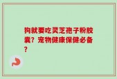 狗就要吃灵芝孢子粉胶囊？宠物健康保健必备？