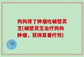 狗狗得了肿瘤吃破壁灵芝(破壁灵芝治疗狗狗肿瘤，获得显著疗效)