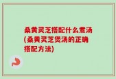 桑黄灵芝搭配什么煮汤(桑黄灵芝煲汤的正确搭配方法)