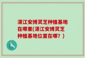 湛江安博灵芝种植基地在哪里(湛江安博灵芝种植基地位置在哪？)